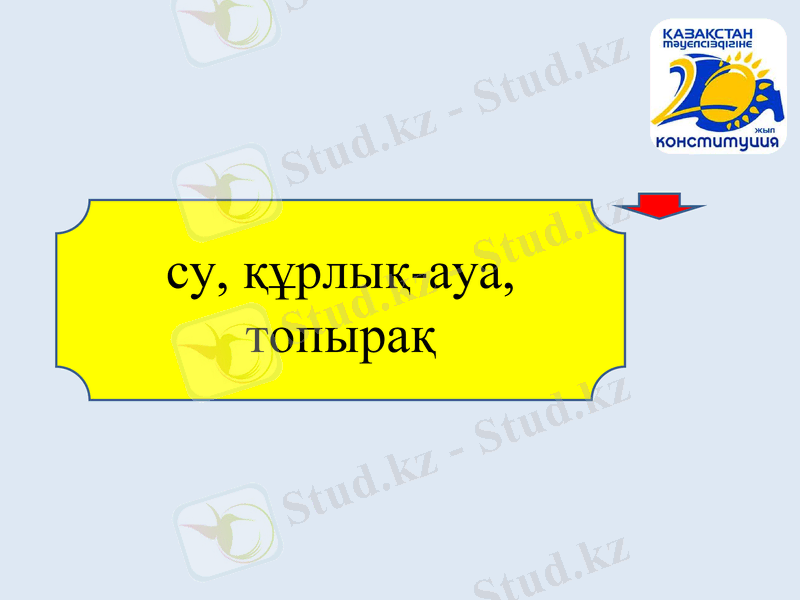 Slide 7