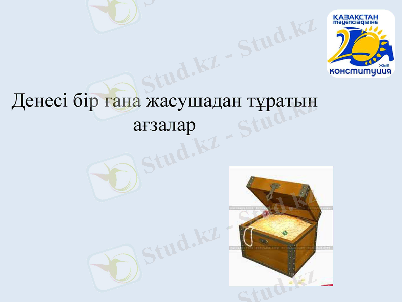 Slide 8