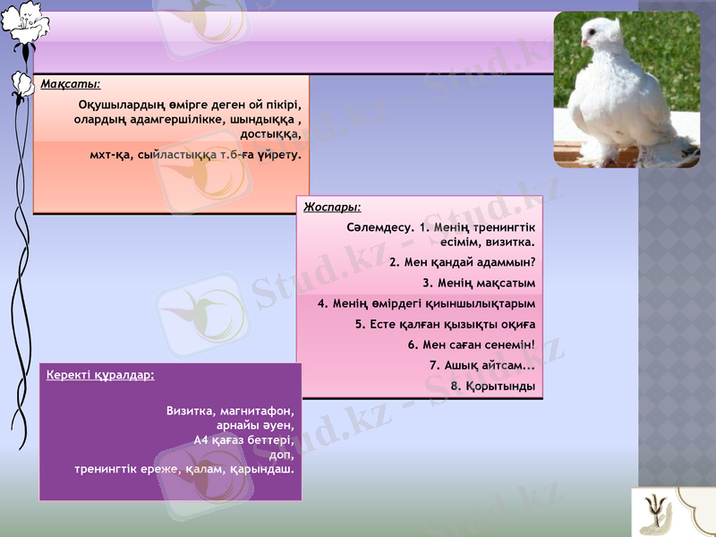 Slide 5