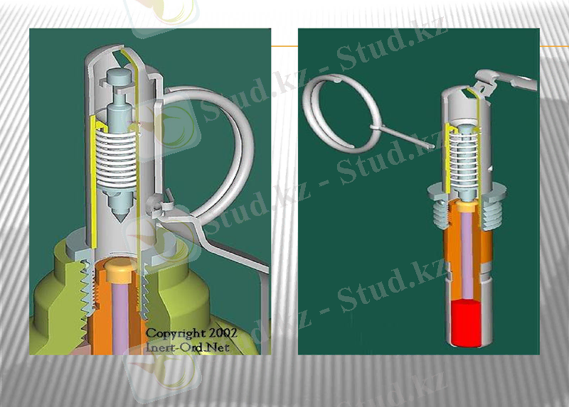 Slide 11
