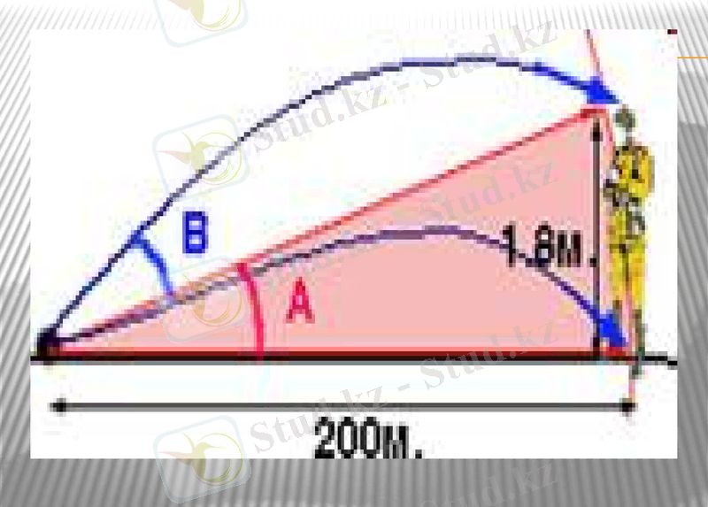 Slide 12