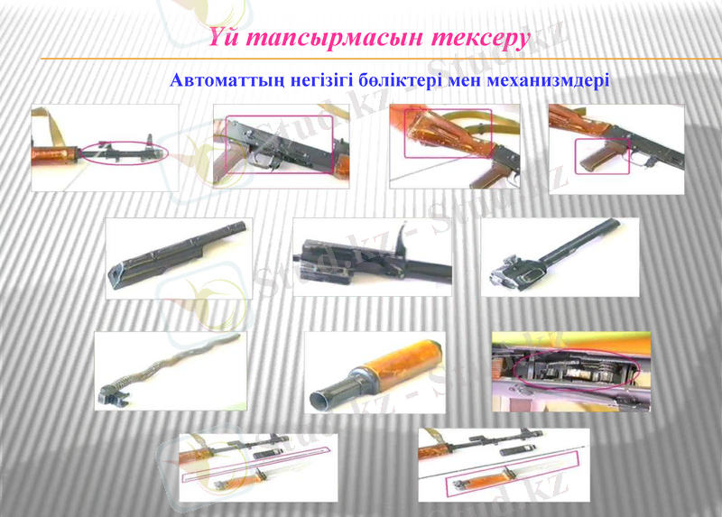 Slide 3