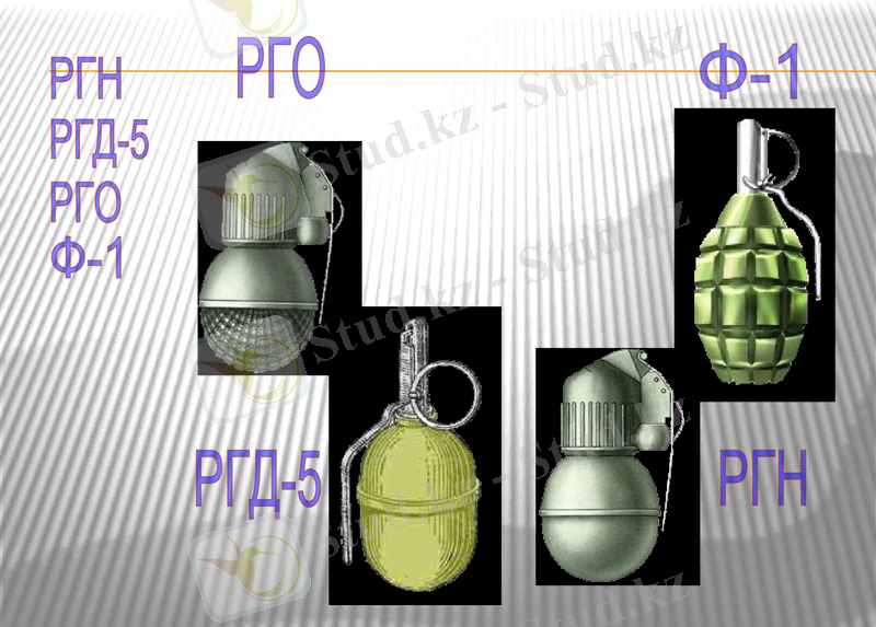 Slide 5