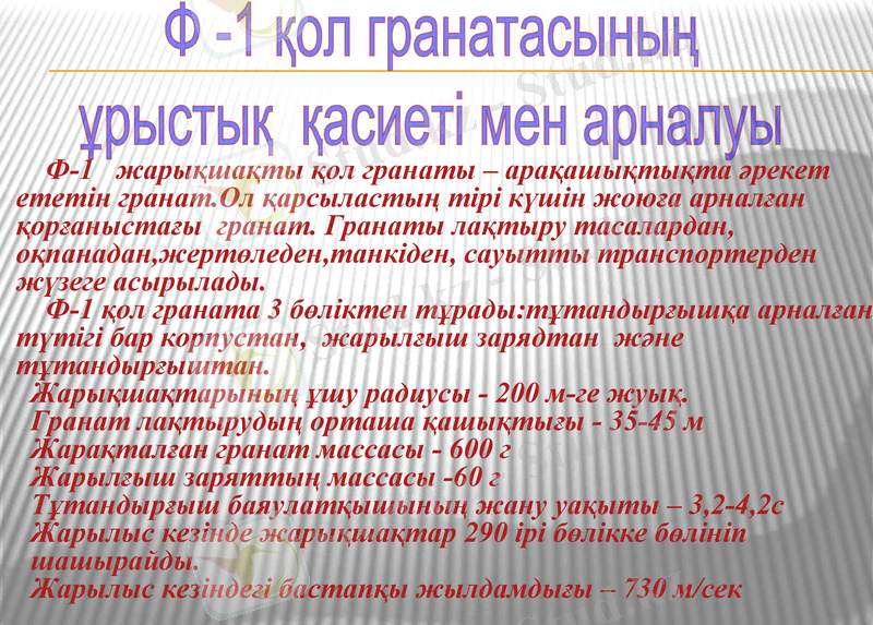Slide 7