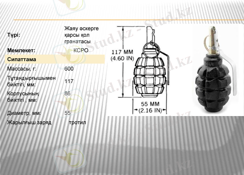 Slide 8