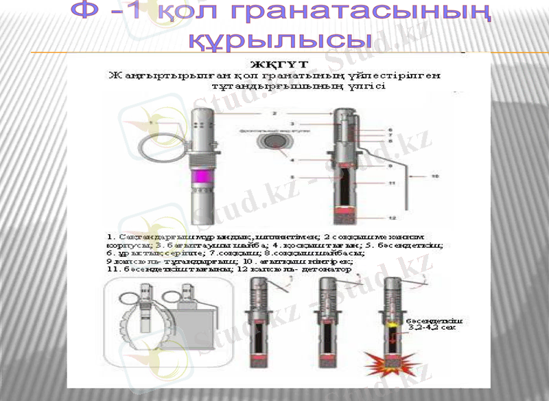 Slide 9