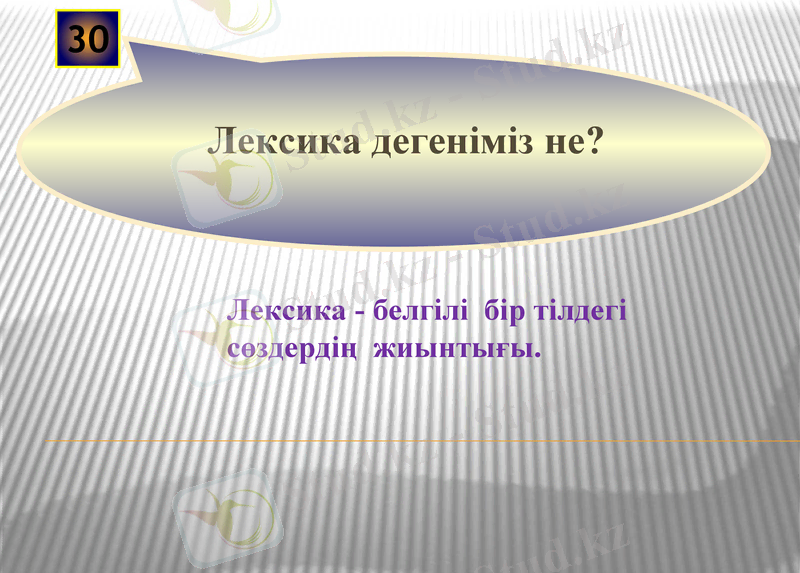 Slide 11