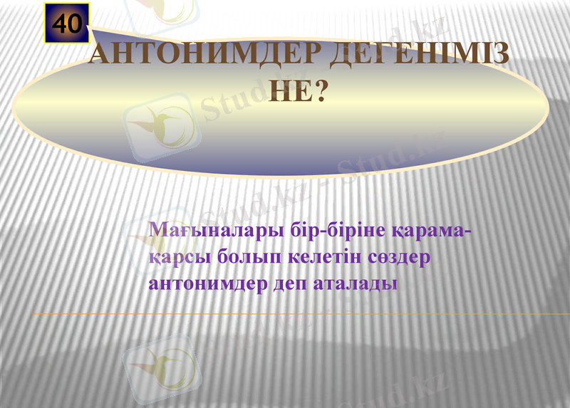 Slide 12