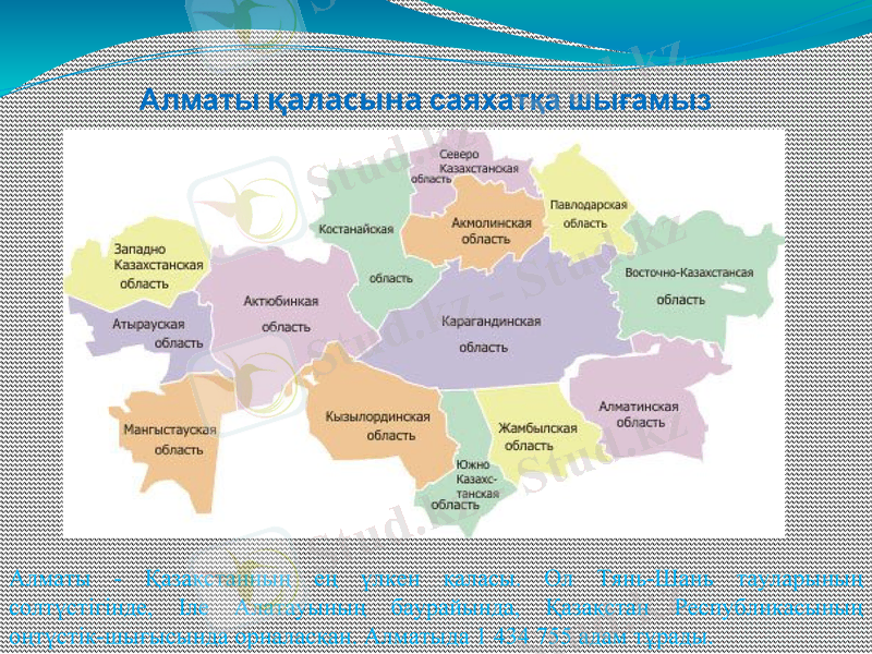 Slide 10