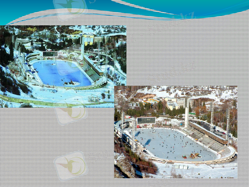 Slide 11