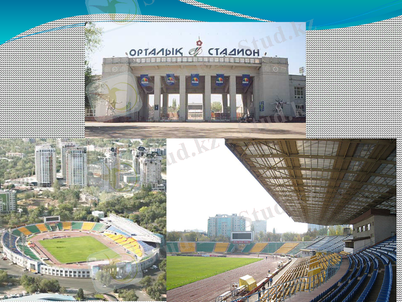 Slide 15