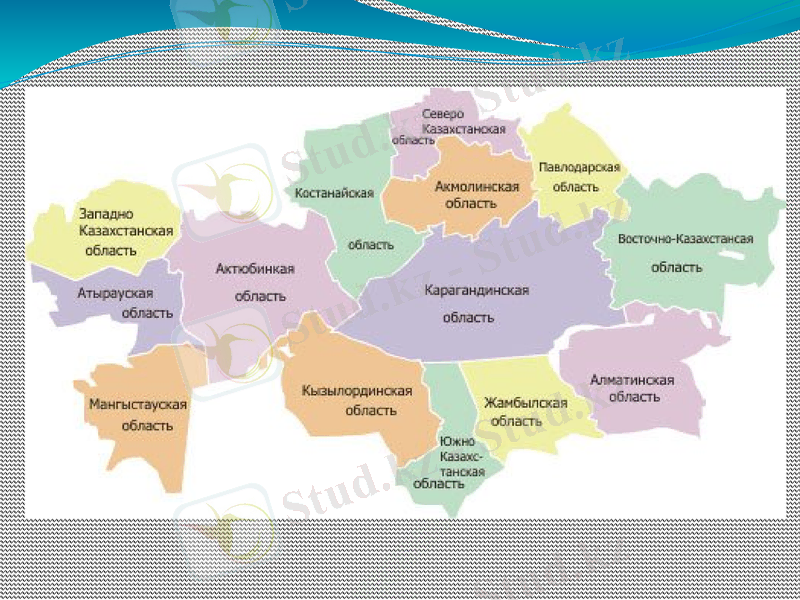 Slide 17