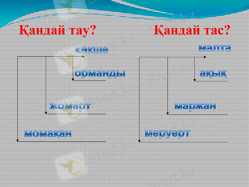 Slide 6