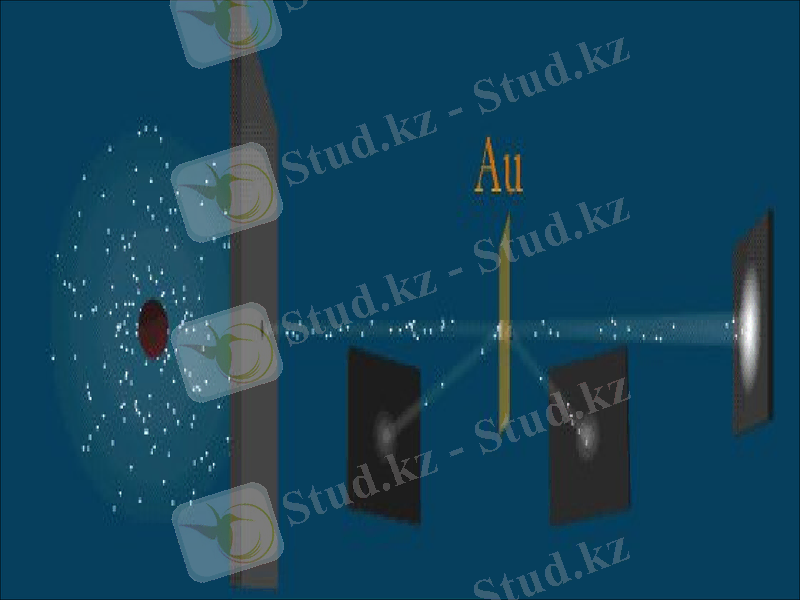 Slide 10