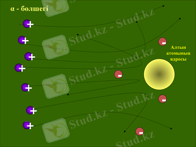 Slide 12