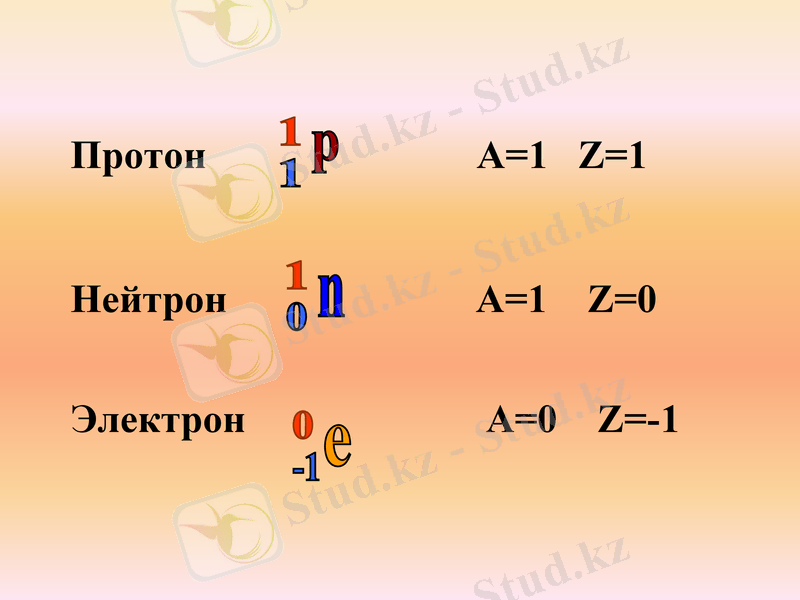 Slide 19