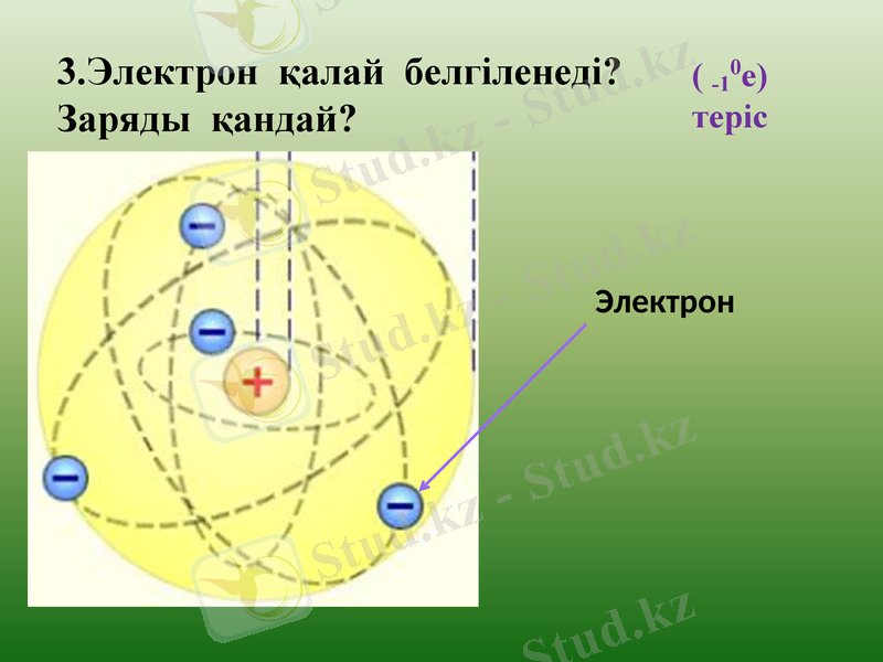 Slide 23