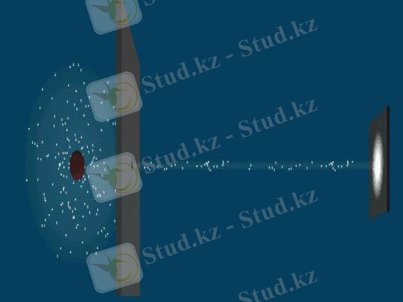 Slide 9