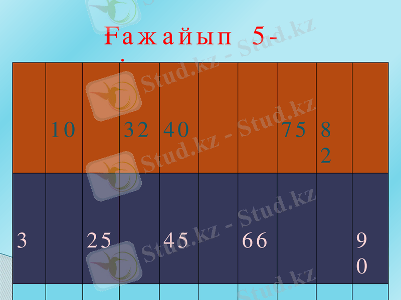 Slide 5