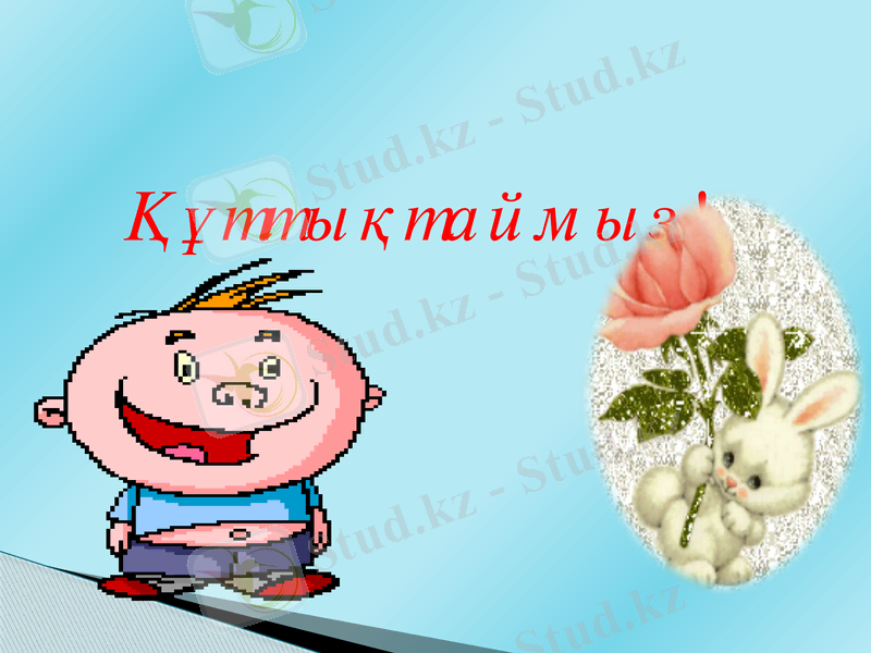 Slide 8