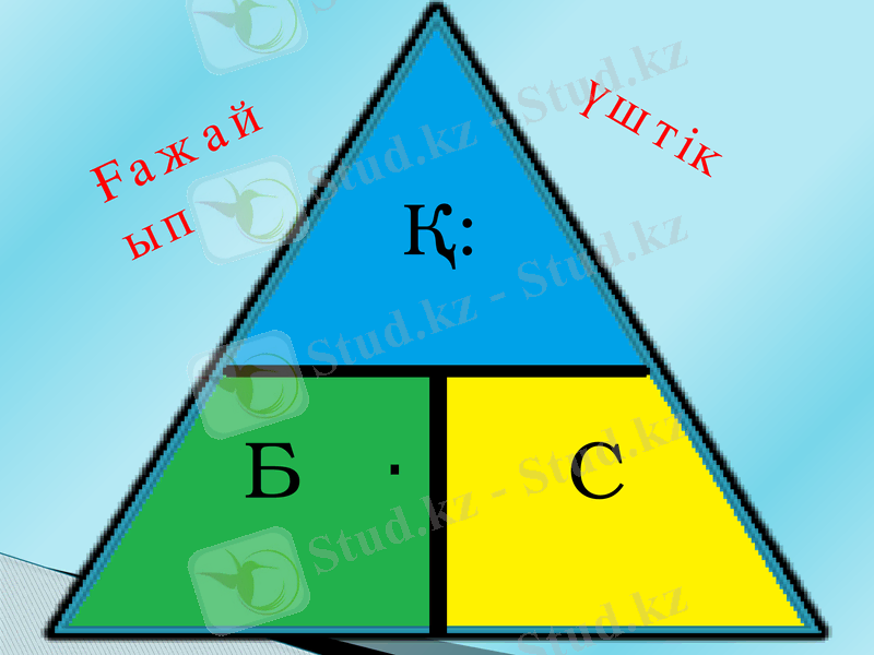 Slide 9