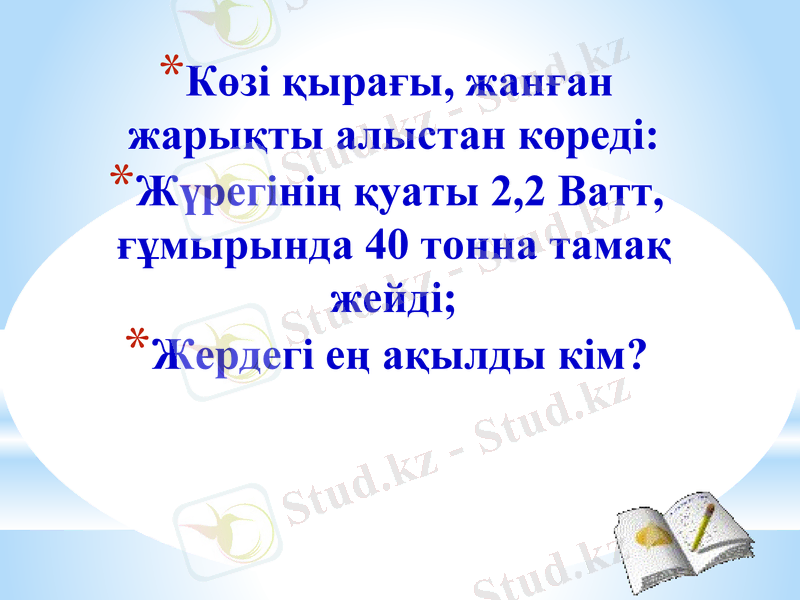Slide 13