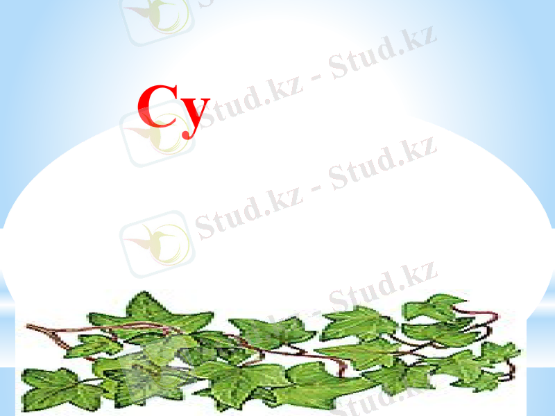 Slide 16