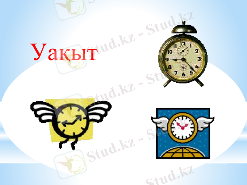 Slide 8