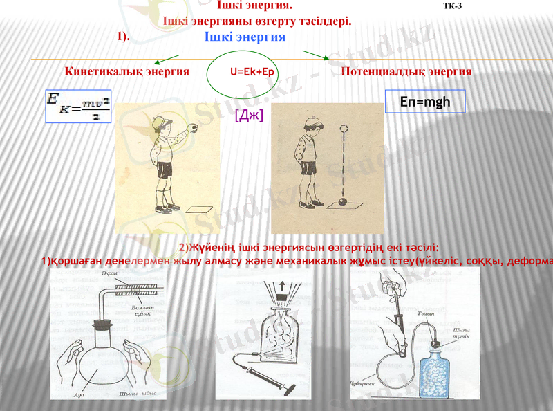 Slide 6