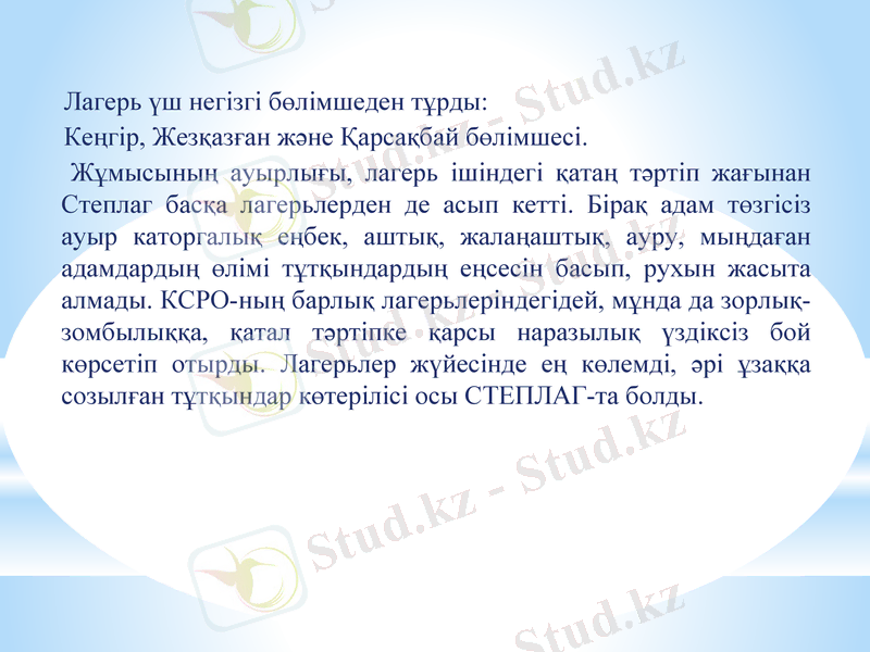 Slide 11
