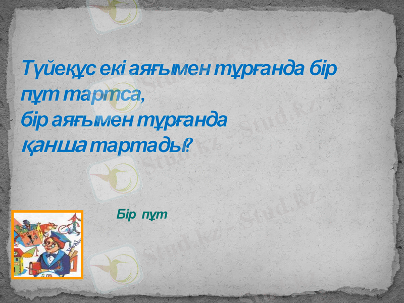 Slide 8