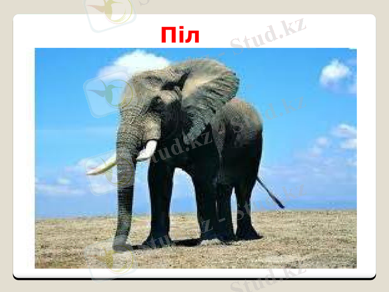Slide 22