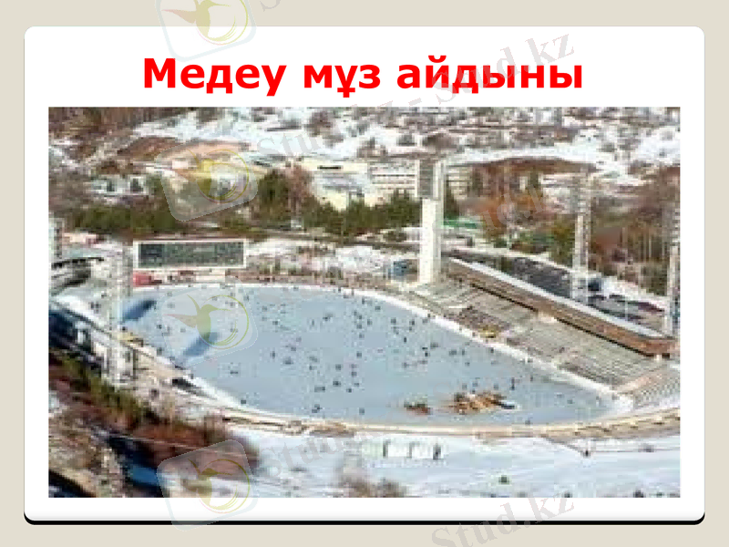 Slide 24