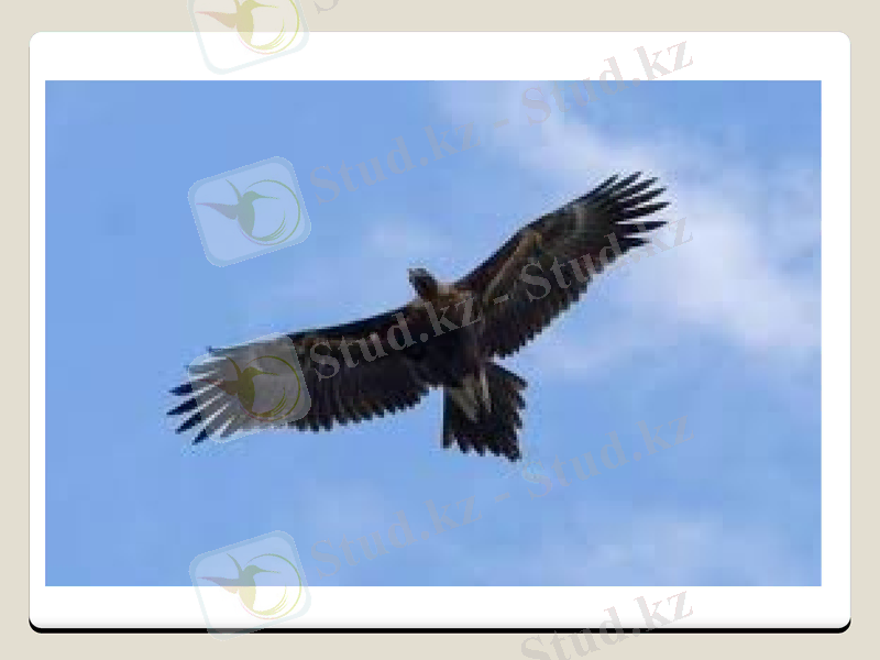 Slide 25