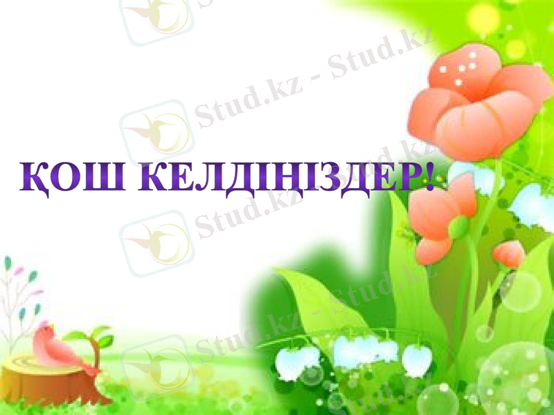 Slide 1
