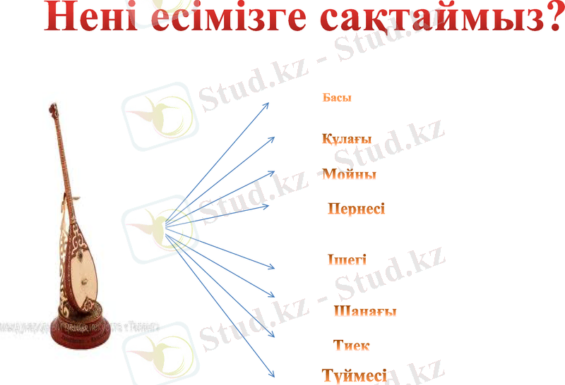Slide 7