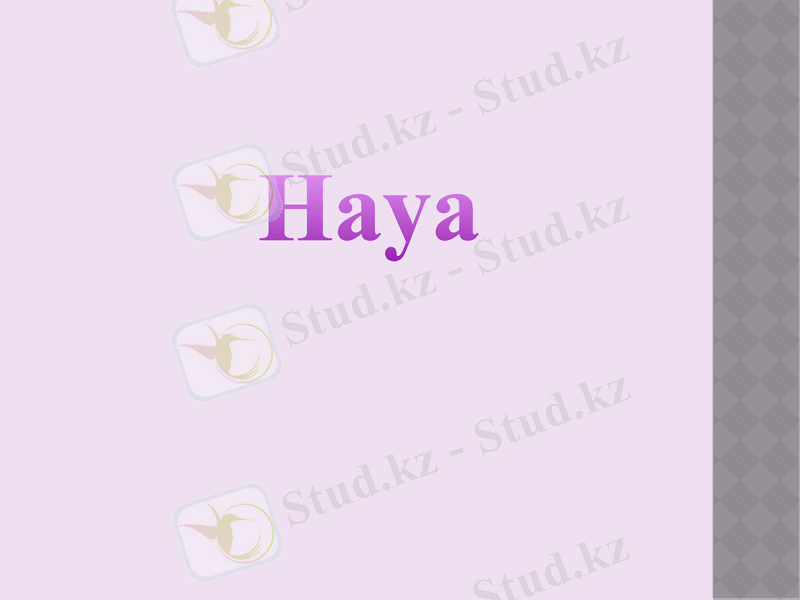 Slide 15