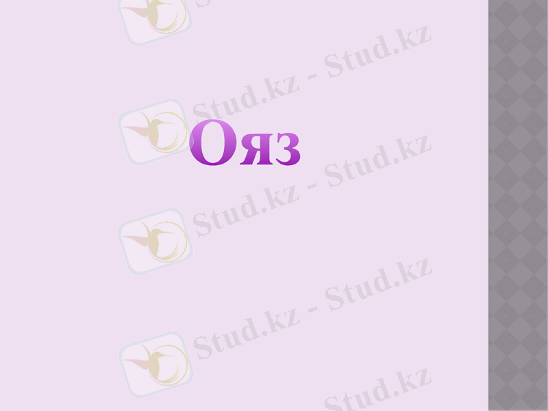 Slide 19