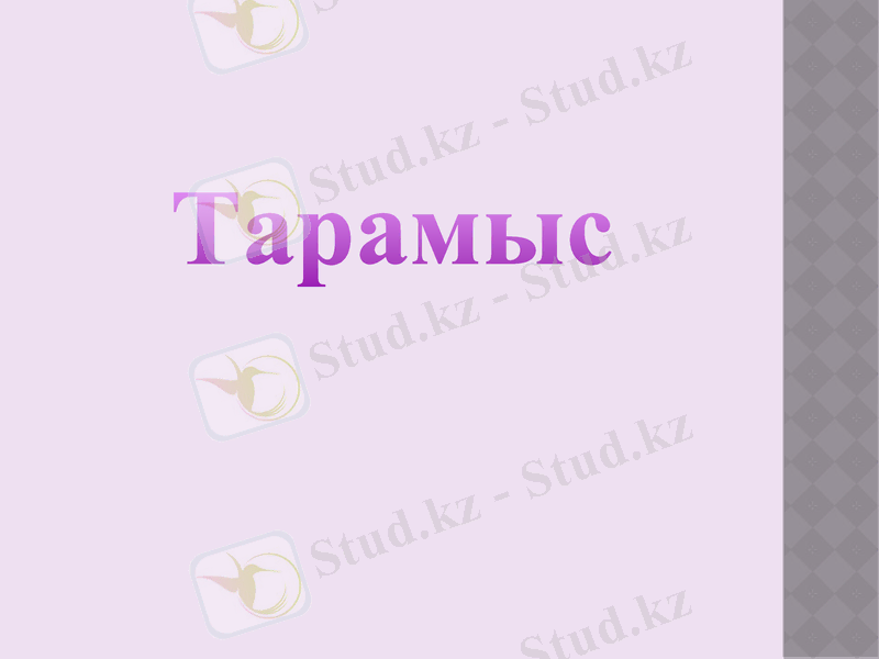 Slide 33