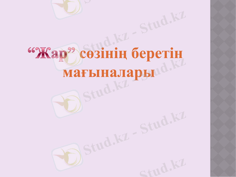 Slide 7