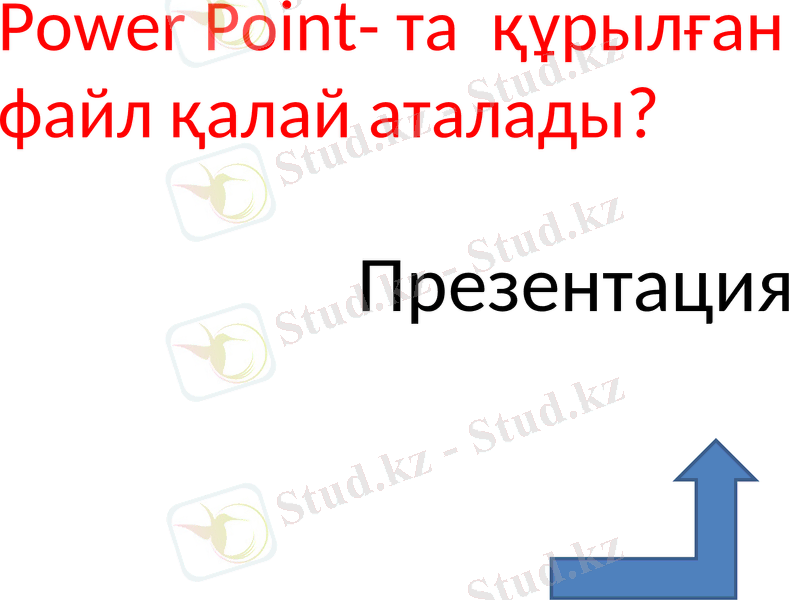 Slide 8