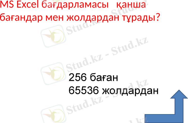 Slide 9