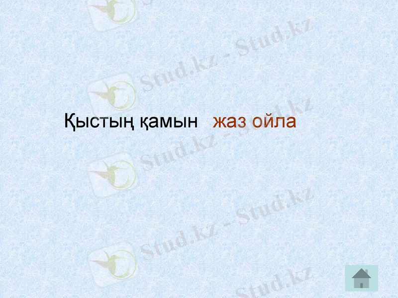 Slide 11