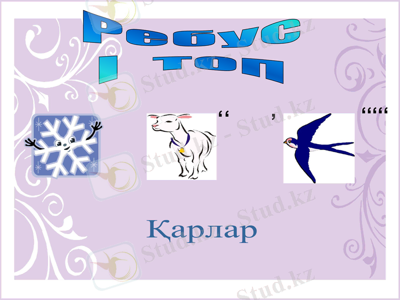 Slide 12