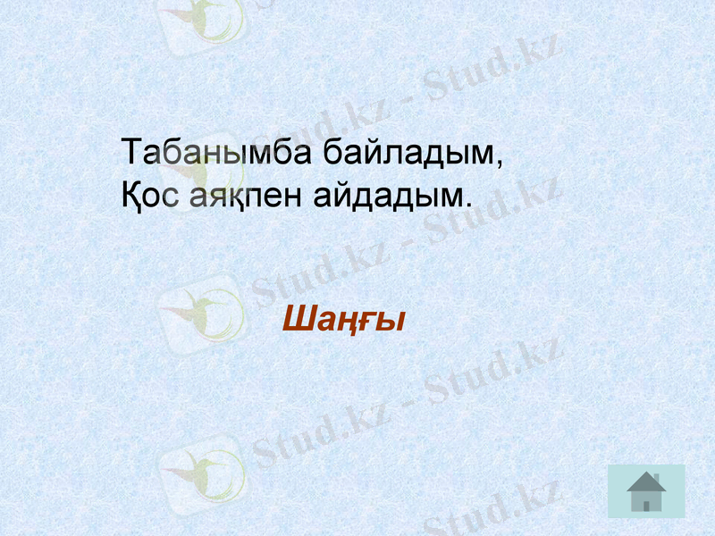 Slide 6