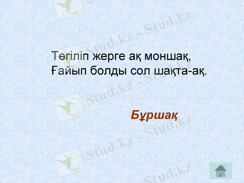Slide 8