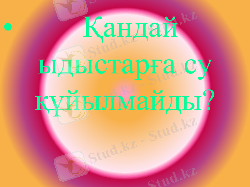 Slide 10