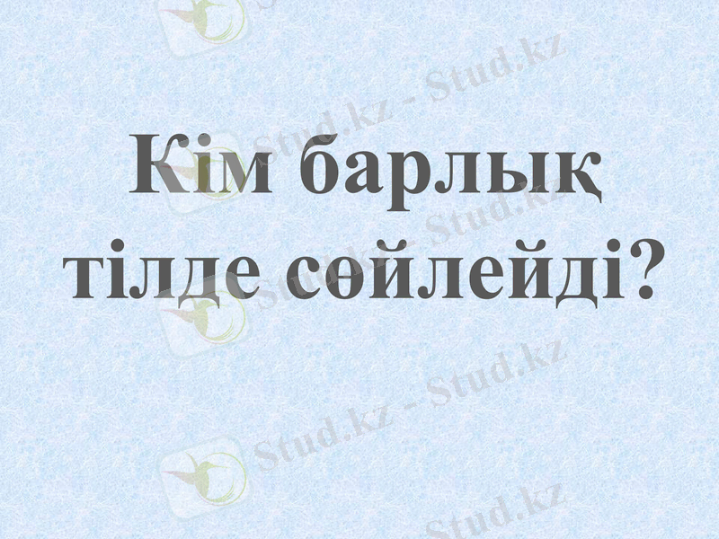 Slide 5