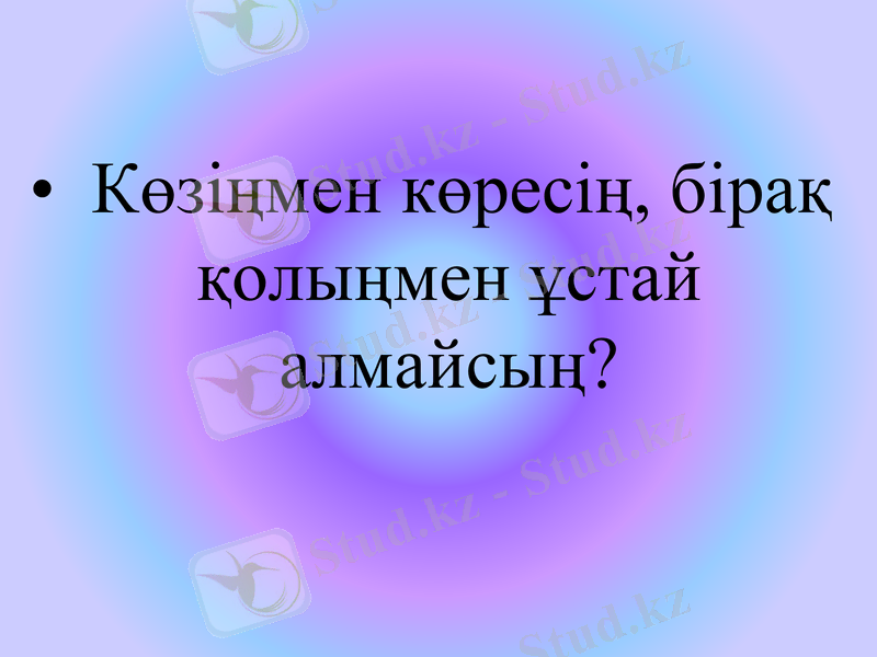 Slide 9