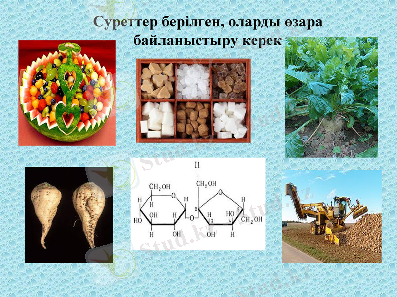 Slide 6